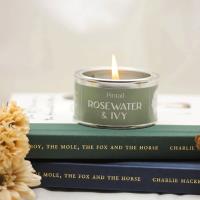 Pintail Candles Rosewater & Ivy Paint Pot Candle Extra Image 1 Preview